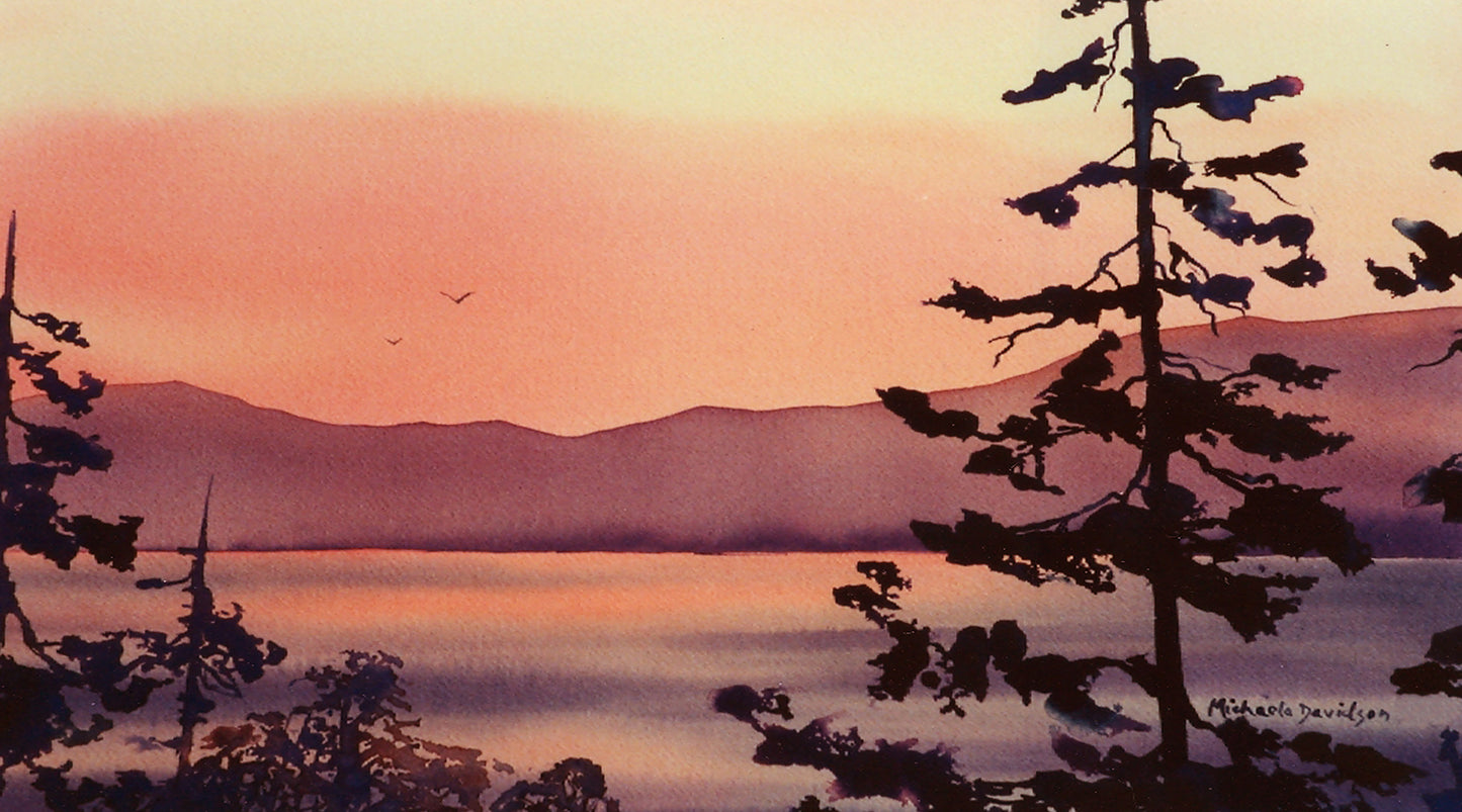 Coral Dawn