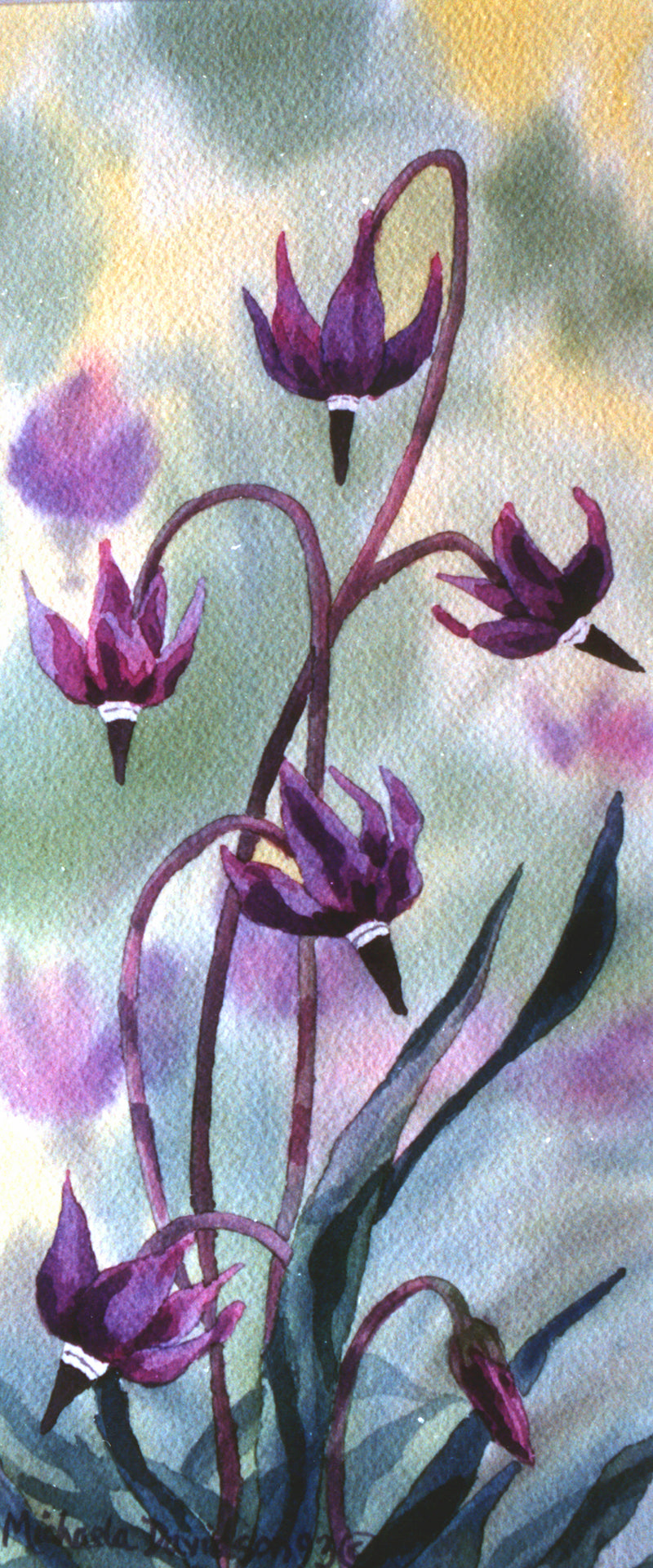 Star Field