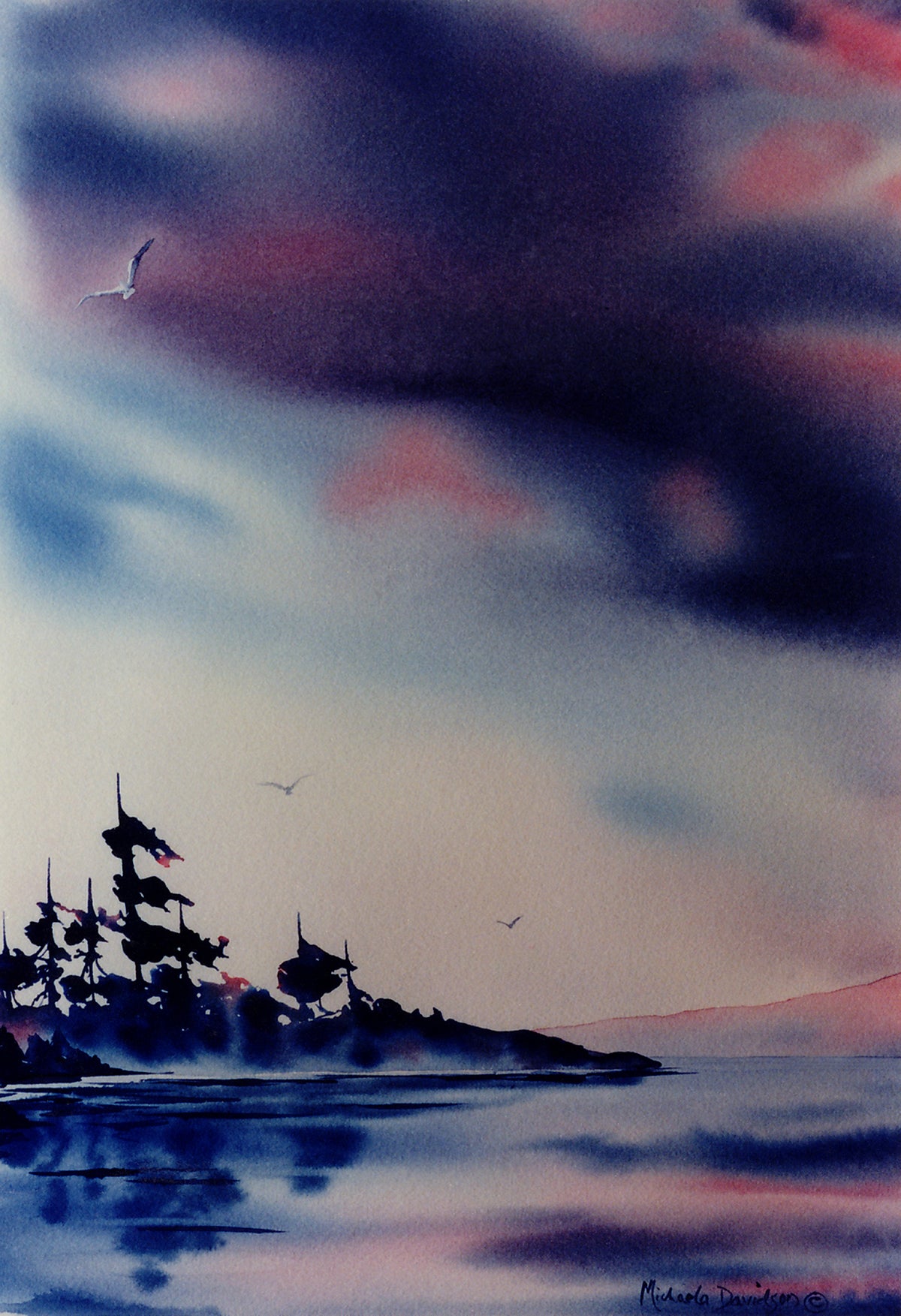 Summer Sky