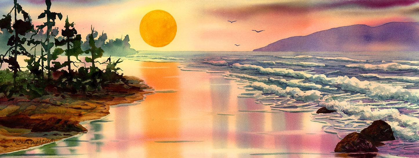 Sun Shimmer