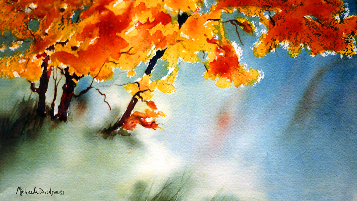 Sun Maples