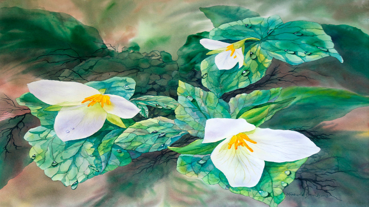 Trillium Trio