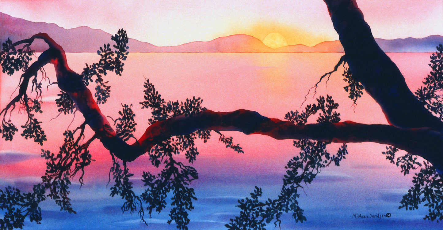 Arbutus Sunset