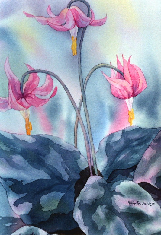 Fawn Lilies V