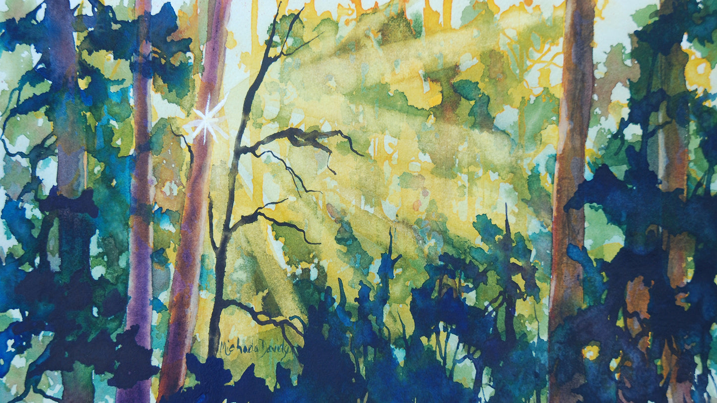 Forest Light