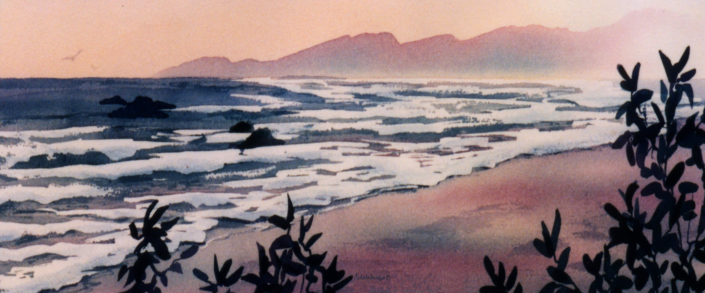 Pacific Tide