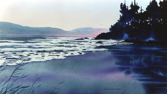 Shore Light