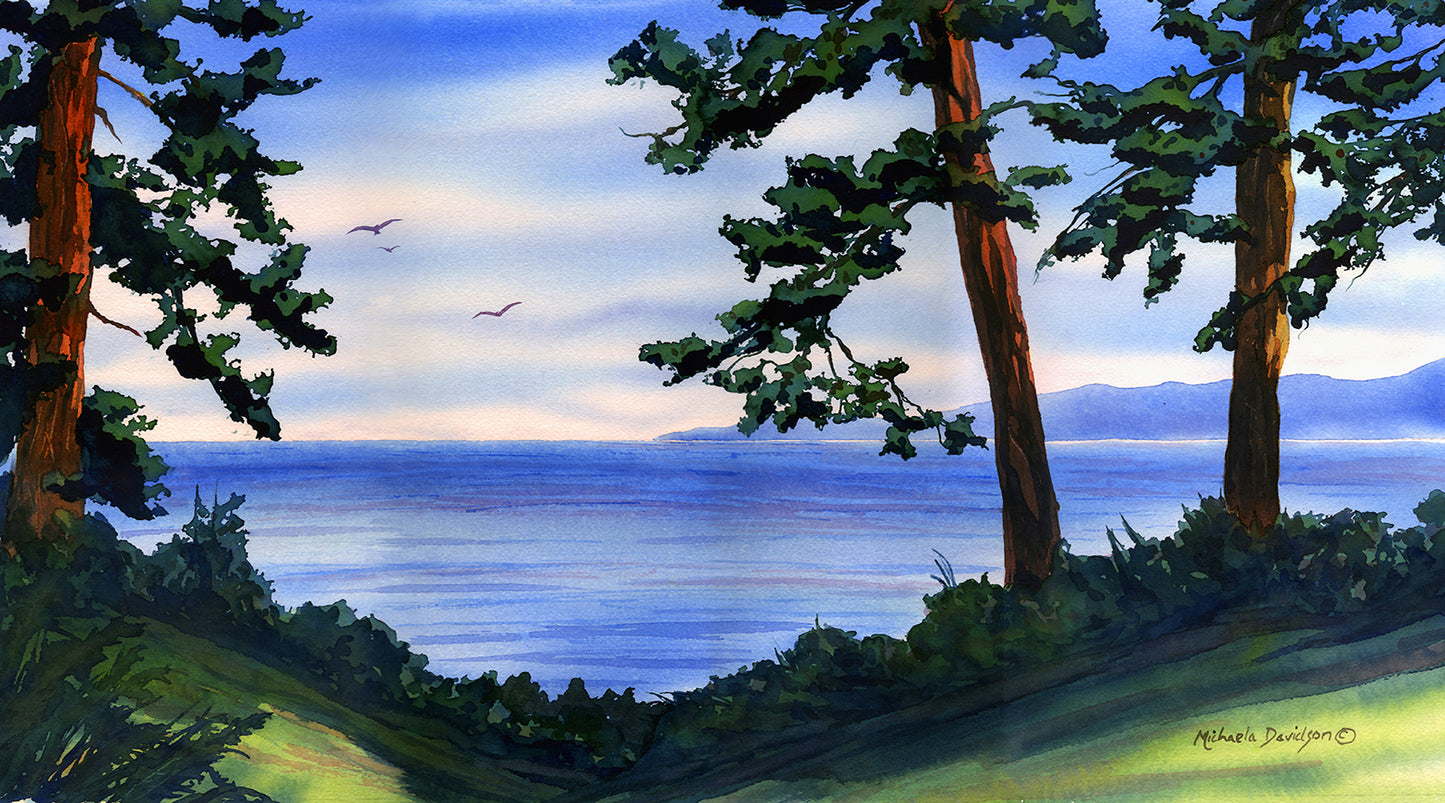 Sooke View
