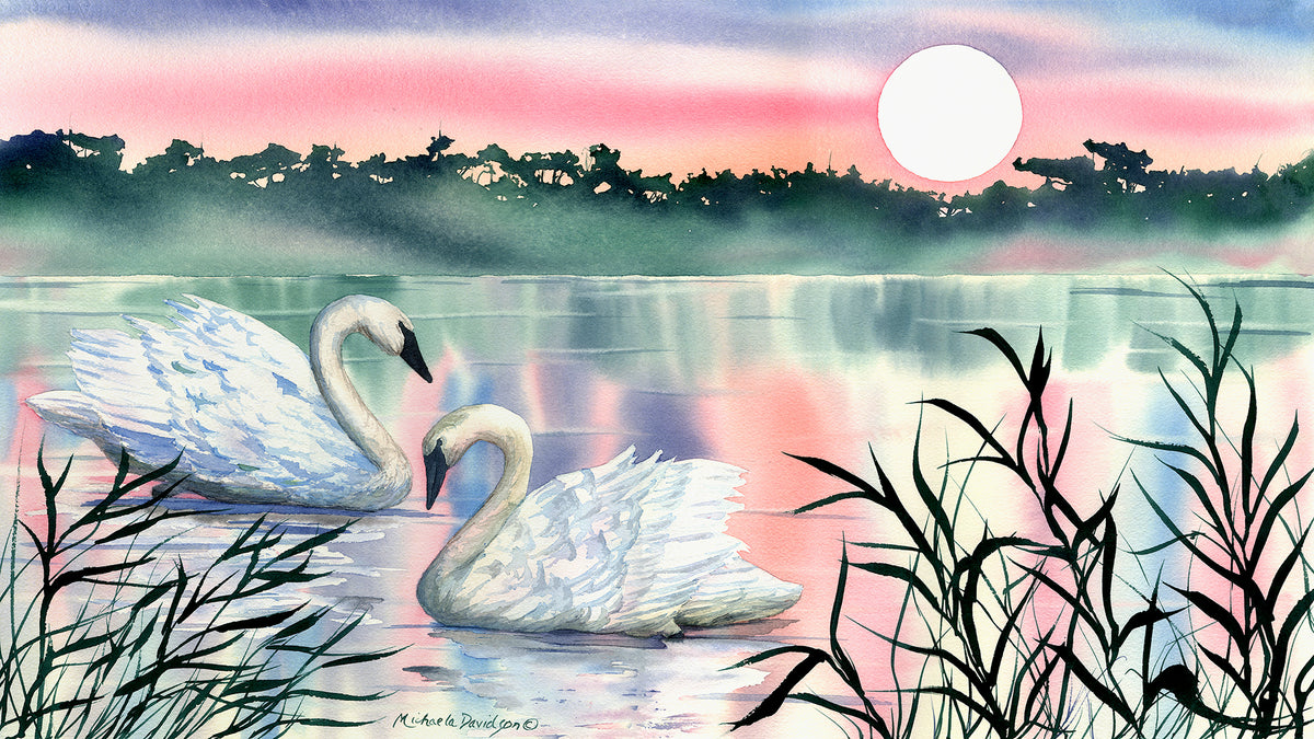 Swan Light