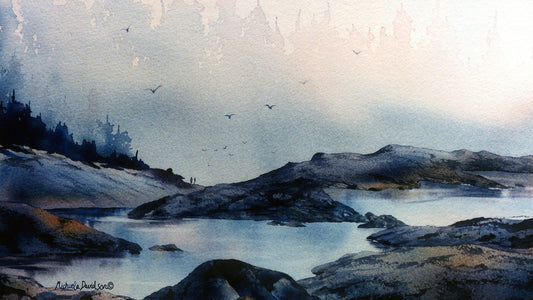 Tidal Pools