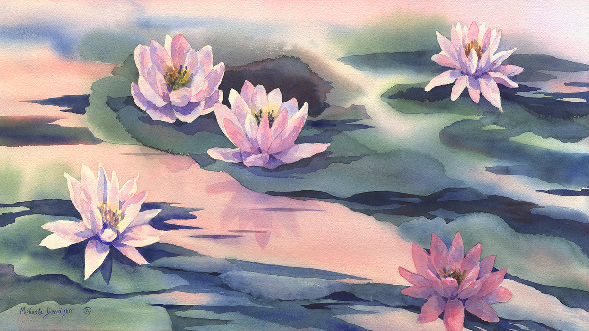 Water Lily Pond