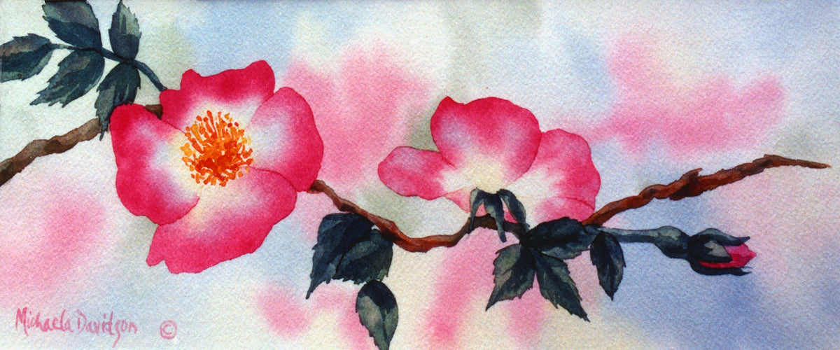 Wild Rose